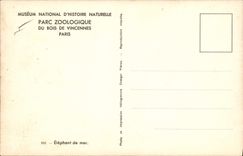 VINTAGE POSTCARD Zoological gardens of Vincennes Sea elephant Paris