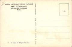 VINTAGE POSTCARD Vincennes Paris Zoo the meal of the sea elephant