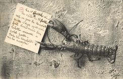 VINTAGE POSTCARD Lobster