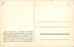 VINTAGE POSTCARD Armadillo