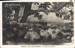 VINTAGE POSTCARD Theater Rostand Cock Chantecler night the ode at the night Owl Owl