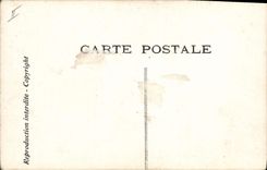 VINTAGE POSTCARD Theater Rostand Cock Chantecler night the ode at the night Owl Owl