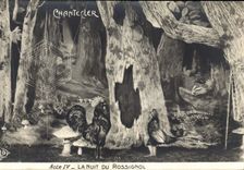 VINTAGE POSTCARD Theater Rostand Cock Chantecler the night of the nightingale mushroom