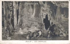 CPA Theatre Rostand Coq Chantecler Les crapauds