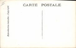 CPA Theatre Rostand Coq Chantecler La nuit du rossignol Champignon