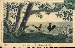 CPA Theatre Rostand Coq Chantecler Le matin du coq
