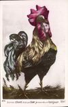 VINTAGE POSTCARD Theater Rostand Cock Chantecler