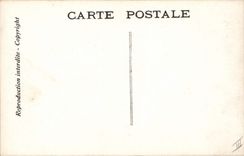 CPA Theatre Rostand Coq Chantecler et ses poules