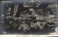 VINTAGE POSTCARD Theater Rostand Cock Chantecler night the ode at the night