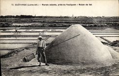 CPA Marais salants pres du Pouliguen Mlon de Sel Guerande 