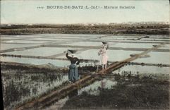 VINTAGE POSTCARD salt-water Marshes Borough of Batz