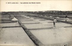 VINTAGE POSTCARD View of the salt-water Marshes Batz