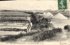 VINTAGE POSTCARD salt-water Marshes Sables d'Olonne