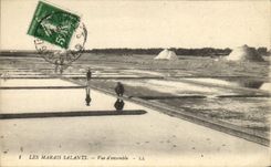 VINTAGE POSTCARD salt-water Marshes Overall picture