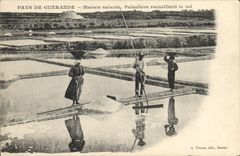VINTAGE POSTCARD salt-water Marshes Paludiers collecting salt Country of Guerande
