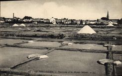 CPA Le Pouliguen Panorama et les Marais salants 