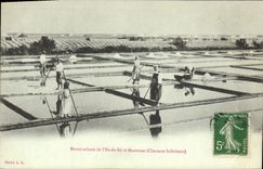 VINTAGE POSTCARD salt-water Marshes and the Ile de Ré and Marannes