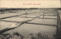 VINTAGE POSTCARD salt-water Marshes Ile de Ré