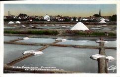 CPA Le Pouliguen Panorama et les Marais salants 