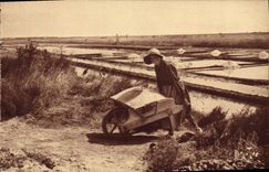 VINTAGE POSTCARD salt-water Marshes Island of Noirnmoutier
