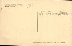 VINTAGE POSTCARD salt-water Marshes Island of Noirnmoutier