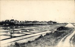 VINTAGE POSTCARD salt-water Marshes Ars Ile de Ré