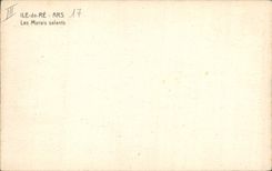 VINTAGE POSTCARD salt-water Marshes Ars Ile de Ré