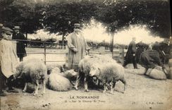 CPA Folklore Normandie Sur le champ de foire Moutons 