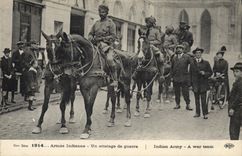 CPA Militaria Armee indienne Un attelage de guerre