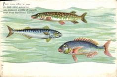 CPA Poisson Poissons 