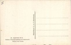 Lavabo del acuario de Poisson Poisson Salammbo de la POSTAL de la VENDIMIA de Corbs