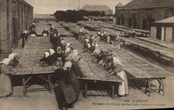 CPA Poisson Poissons Quiberon Femmes des usines mettant leurs sardines a secher Peche