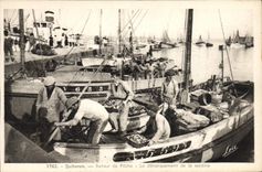 CPA Poisson Poissons Quiberon Retour de peche Le debarquement de la sardine