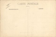 CPA Poisson Poissons Les carpes de Fontainebleau