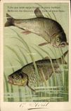 CPA Poisson Poissons Carpe Barbeau