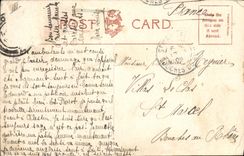 VINTAGE POSTCARD Cows Scotland Cow