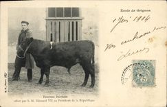 CPA Vaches Vache Genisse Durham SM Edouard VII President de la republique Ecole de Grignon 