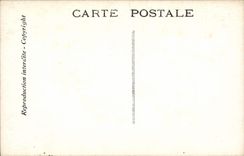 VINTAGE POSTCARD Theater Edmond Rostand Chantecler the night of the Nightingale