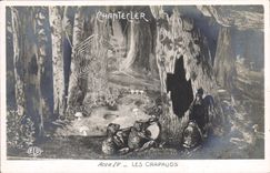 VINTAGE POSTCARD Theater Edmond Rostand Chantecler the clamping plates Splashes