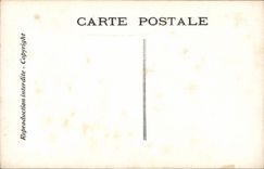 VINTAGE POSTCARD Theater Edmond Rostand Chantecler the evening of the pheasant one