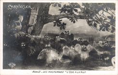 CPA Theatre Edmond Rostand Chantecler Les nocturnes L'ode a la nuit Chouette Hibou