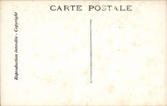 VINTAGE POSTCARD Theater Edmond Rostand Chantecler night the ode at the night Owl Owl