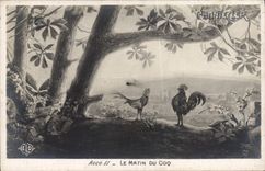 CPA Theatre Edmond Rostand Chantecler Le matin du coq