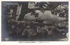 CPA Theatre Edmond Rostand Chantecler L'ode a la nuit Chouette Hibou