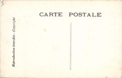 CPA Theatre Edmond Rostand Chantecler L'ode a la nuit Chouette Hibou
