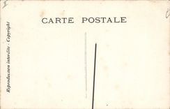 CPA Theatre Edmond Rostand Chantecler et le coq de combat