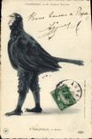VINTAGE POSTCARD Theater Edmond Rostand Chantecler F Galipaux the blackbird Bird