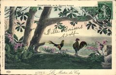 CPA Theatre Edmond Rostand Chantecler Le matin du coq