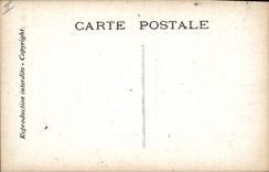 VINTAGE POSTCARD Theater Edmond Rostand Chantecler the evening of guinea fowl