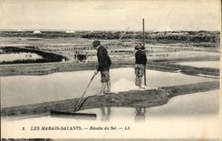 VINTAGE POSTCARD Folklore salt-water Marshes Collects salt